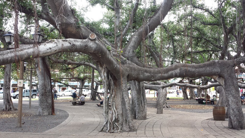 20150420_114216.jpg